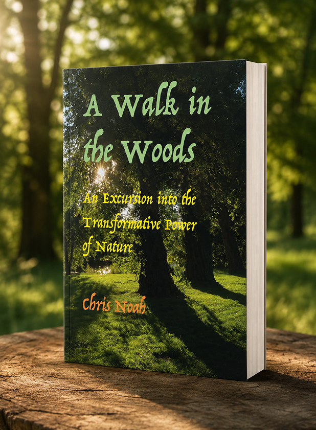 A Walk in the Woods book cover
